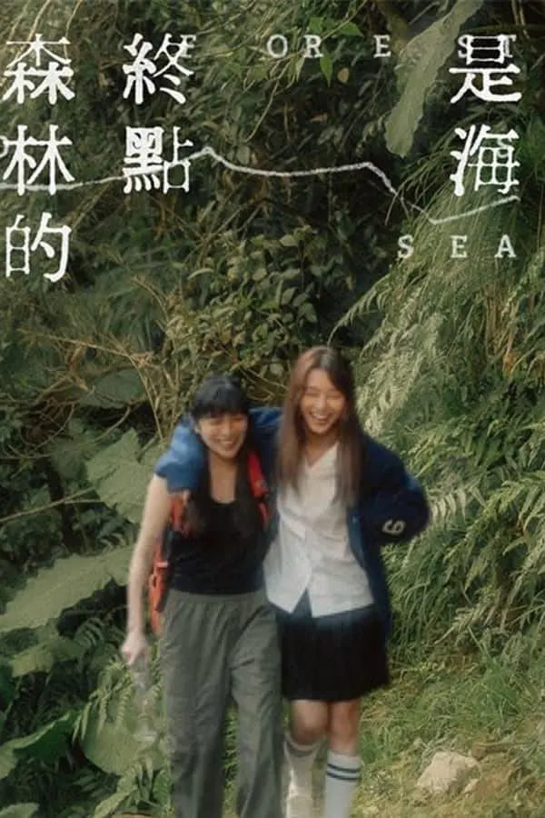 森林的终点是海(全集)