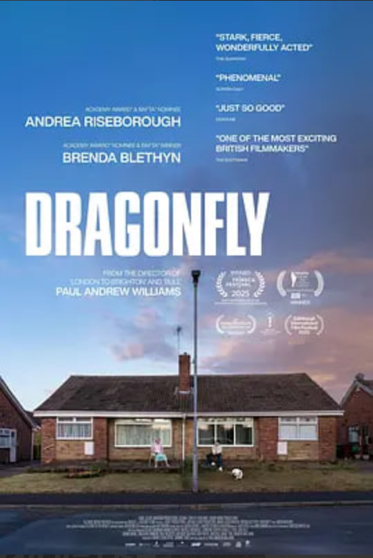 危情蜻蜓(全集)