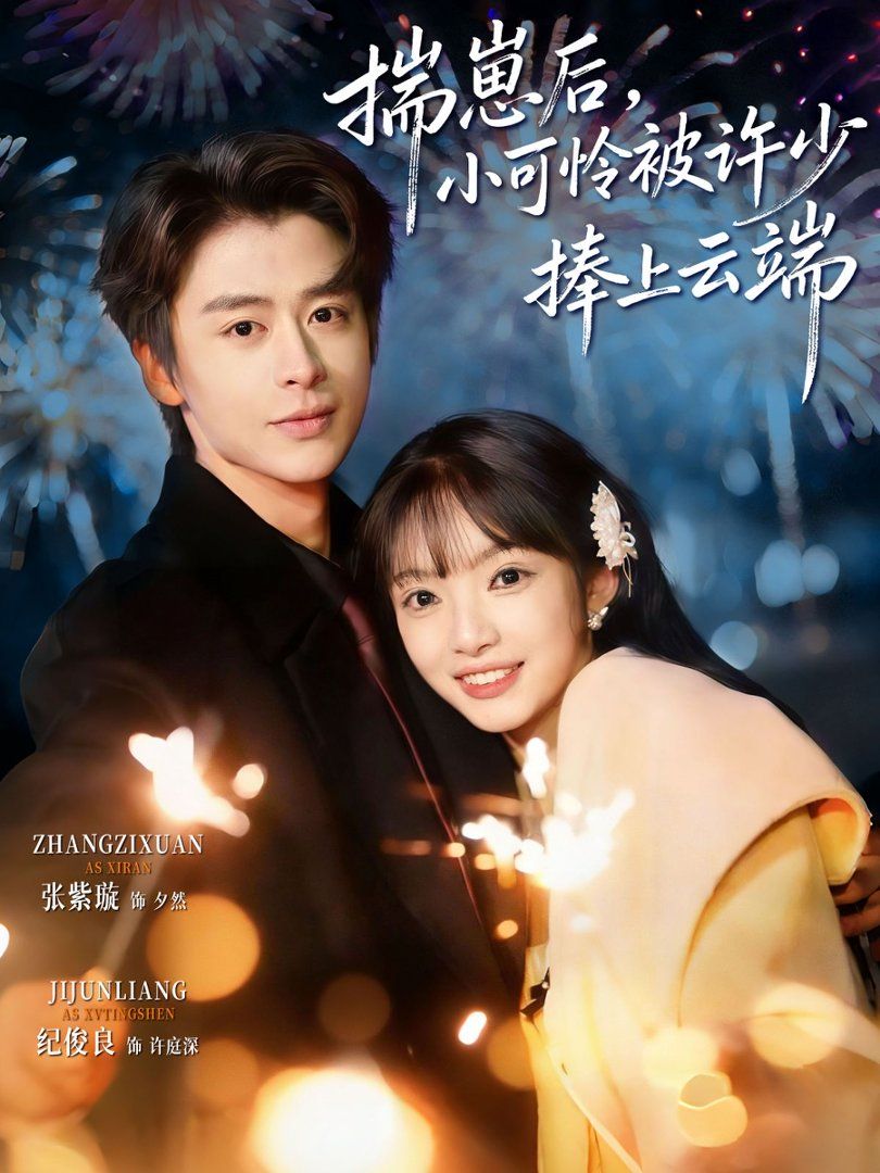 揣崽后，小可怜被许少捧上云端(全集)