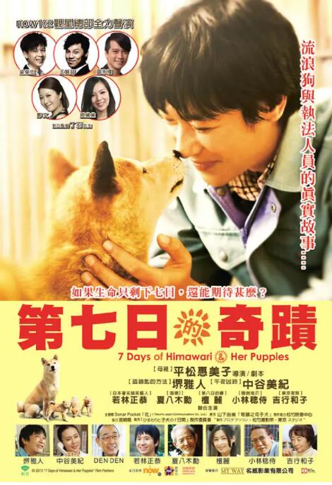 向日葵与幼犬的7天(全集)