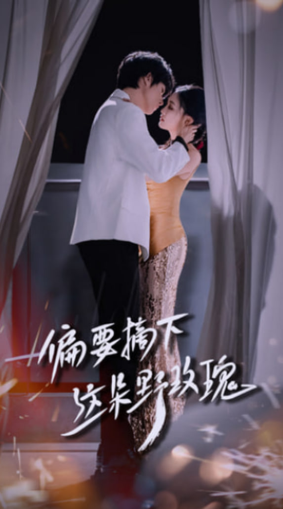 偏要摘下这朵野玫瑰(全集)