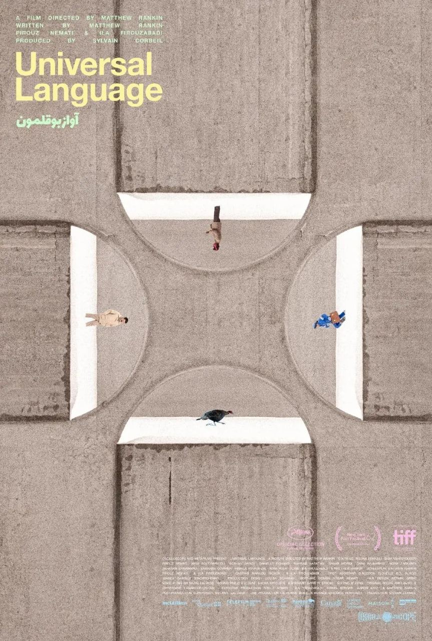 共同的语言(全集)