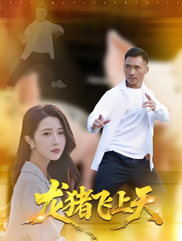 龙猪飞上天(全集)